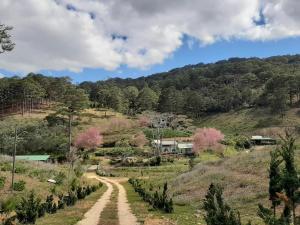 BTR Farm