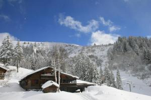 Lodges La Chanterelle - Mountain Lodge : photos des chambres