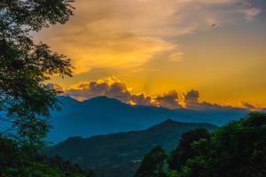 The Legend of Dragon Tea Suoi Giang