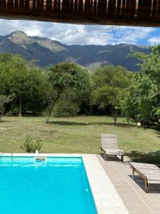 Color Local Cabañas