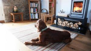 Old Barn Tregonetha glorious countryside views