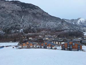 Les Chalets dOffaz - Centre Abondance