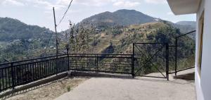 Thakur Orchard