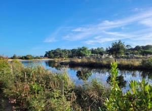 Mobil-home 3 chambres avec terrasse et plancha Camping Les Viviers Cap-Ferret