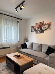 Avala Nest - Titova Vila