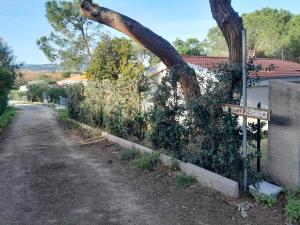 Casa KIA - Pet Friendly img60