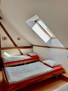 Agro - Dom Wsrod Lasow