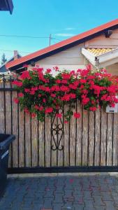 Apartament Pół Domu Nad Jeziorami