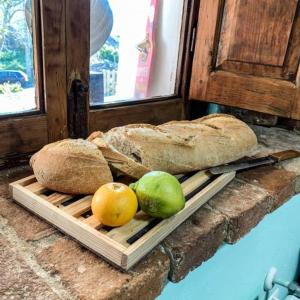 El sueño del Viajero