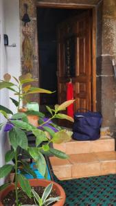 El sueño del Viajero