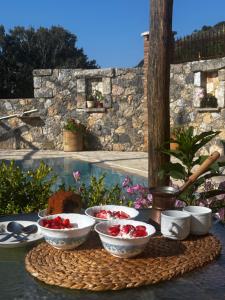 Traditional Villa with pool in Sfakia