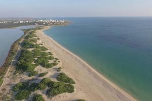 Villa Tati con Piscina a soli 550 mt dal mare di Torre Colimena