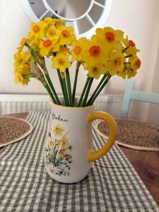 3 bedroom House in Dolgellau