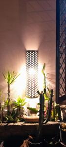 Guesthouse Acherusia