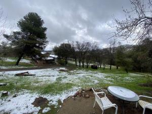 The Giant Forest Suite