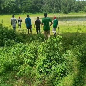 Njukiini Forest Lodge
