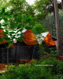 Njukiini Forest Lodge