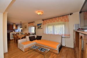 Apartment Tadey