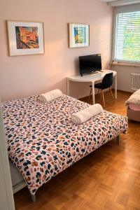 Cozy Flat in the Center of Kleinbasel