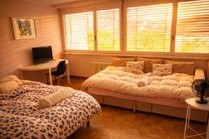 Cozy Flat in the Center of Kleinbasel
