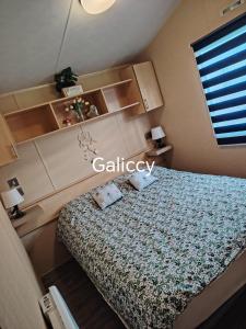 Caravan Galiccy