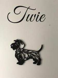 Klein Haasdal Studios