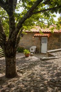 Refugio dos Cartolas - Mountain Retreat