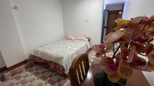 CATTLEYA Casa Hospedaje