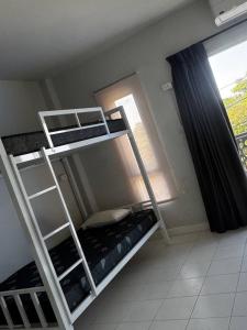 Bull Dog Travel Hostel