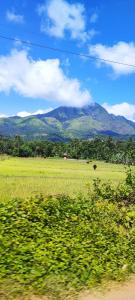 Quiet Canopy homestay