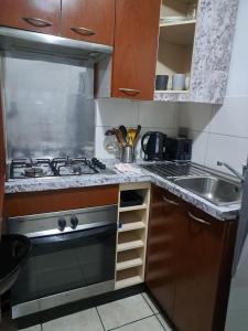 Deptos Santiago Bellas Artes