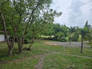 The Cabins at Green Acres Village - Cozy Nature Stay in Moalboal