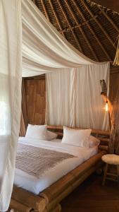 Alpaca Lodge
