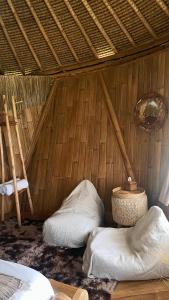 Alpaca Lodge