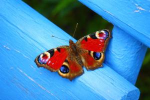 Dom na Przedgórzu-Apartamenty z widokiem na Góry Izerskie