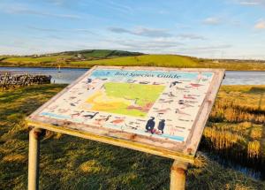 The Dozy Donkey Shepherd Hut Campview Farm Stay