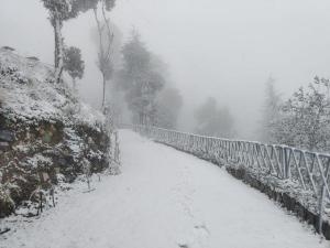 Hadley inn cottages Chail