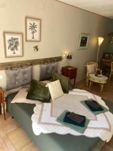 "MAS TRAMONTANE" chambres dhôtes, studio, ancien mas agricole dans parc arboré, piscine et sa vue face au Canigou