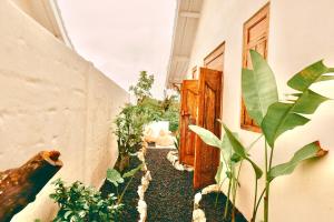 BUVI private villa nusa penida