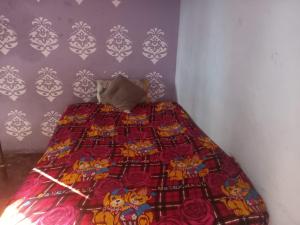 Kanta devi homestay