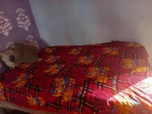 Kanta devi homestay
