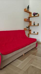 The House of Immaculate