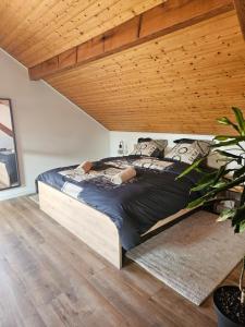 Appartement 62 m2 neuf au calme climatisé avec parking & proche Colmar et Mulhouse