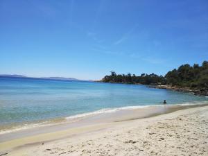 Très beau T2 Cavalière avec terrasse proche mer