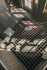 Bij Tante Hanneke- vakantiehuizen