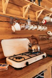 Avskild Stuga Med Sjöutsikt På En Ö