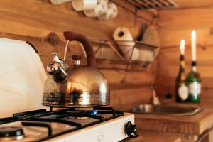 Avskild Stuga Med Sjöutsikt På En Ö