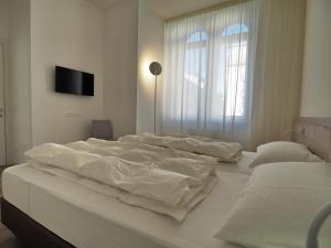 Accademia Apartments - Albergo Accademia