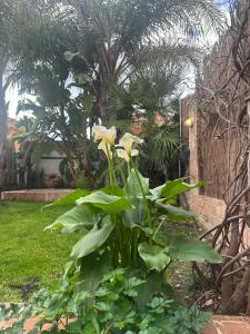 Dúplex con vistas panorámicas