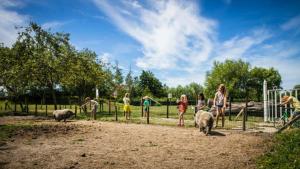 H.Home – K. Emmaw. 26 Vrouwenpolder O